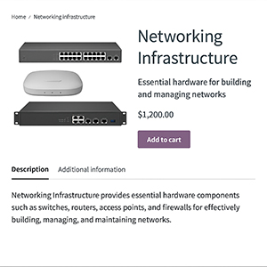 Networking Infrastructure